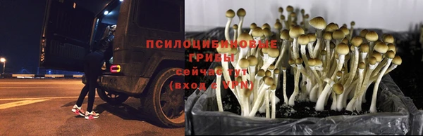 кокаин премиум Верхний Тагил