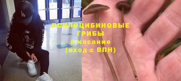 амф Бородино