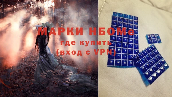 амф Бородино