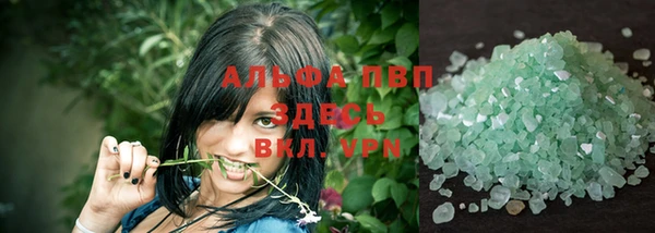амф Бородино